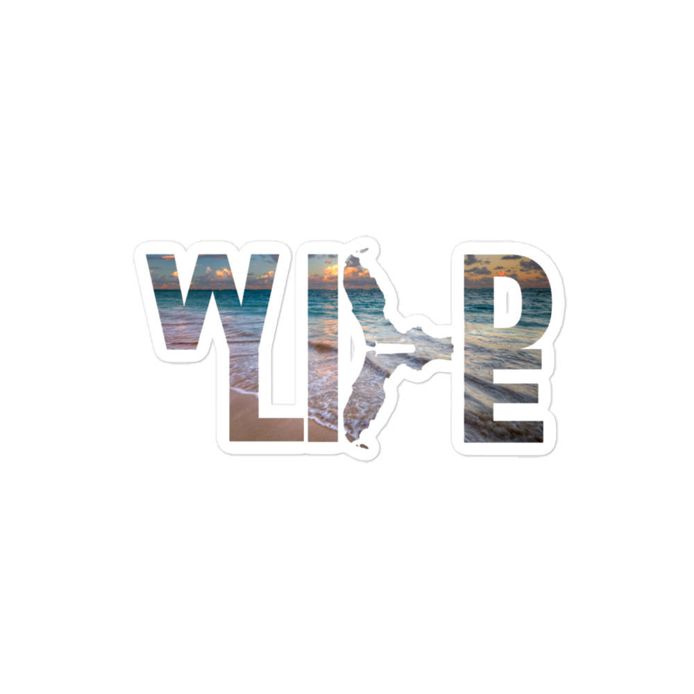 Crystalyn 设计的佛罗里达野生动物海滩标志贴纸